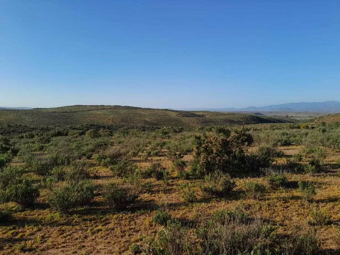 Vendo Parcelas Loteadas Cerca Parque Fray Jorge (180726) - Imagen 10