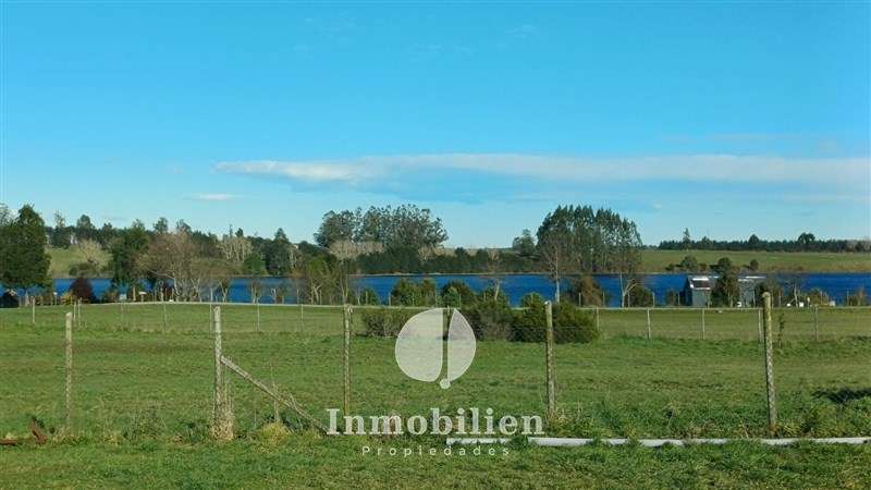 Parcela con casa 4D/3B, salita, quincho, bodega-Pichilaguna - Imagen 20