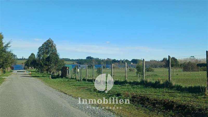 Parcela con casa 4D/3B, salita, quincho, bodega-Pichilaguna - Imagen 17