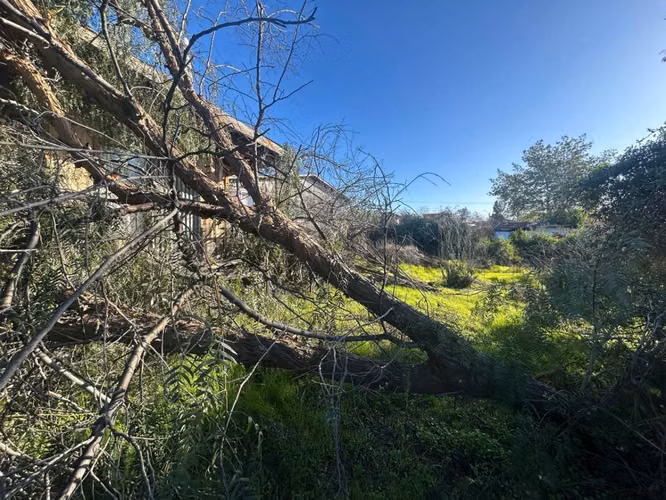 Venta excelente oportunidad terreno en Belloto - Imagen 15