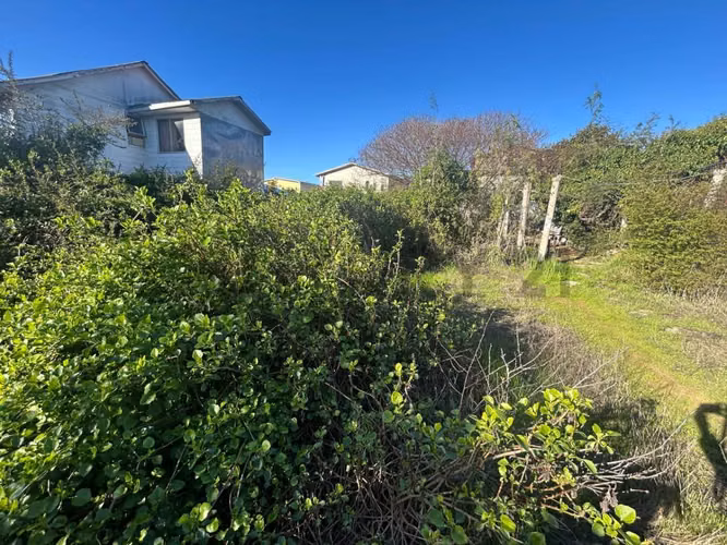 Venta excelente oportunidad terreno en Belloto - Imagen 10