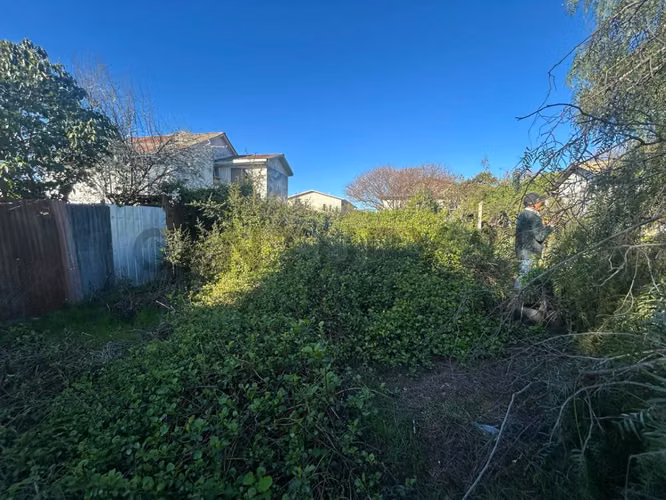 Venta excelente oportunidad terreno en Belloto - Imagen 5