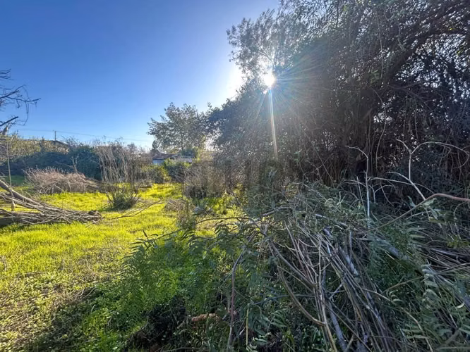 Venta excelente oportunidad terreno en Belloto - Imagen 18