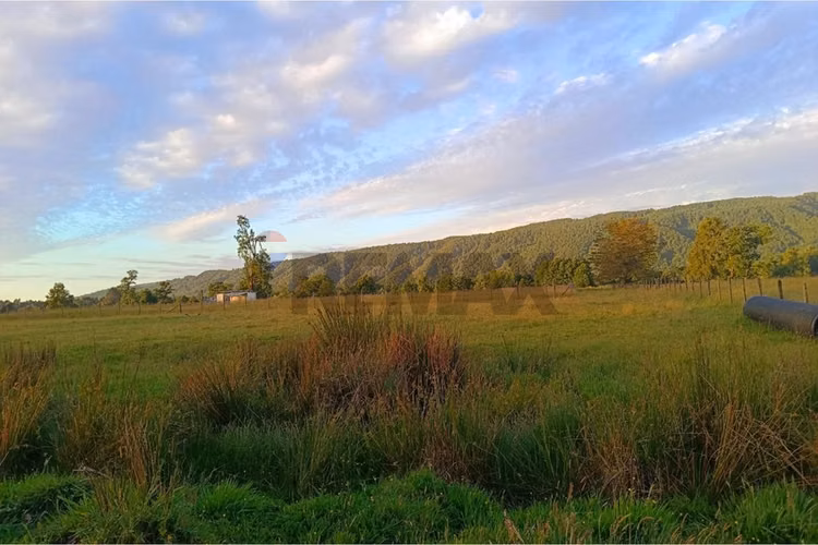 Parcela en venta villarrica - sector chucauco - Imagen 6
