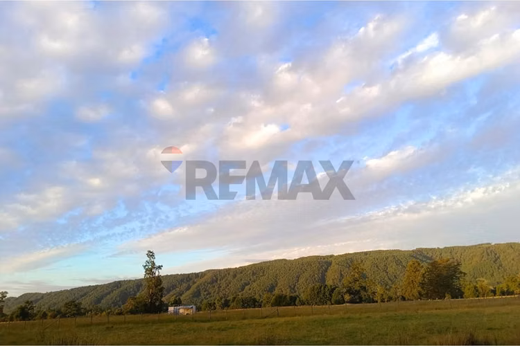 Parcela en venta villarrica - sector chucauco - Imagen 18