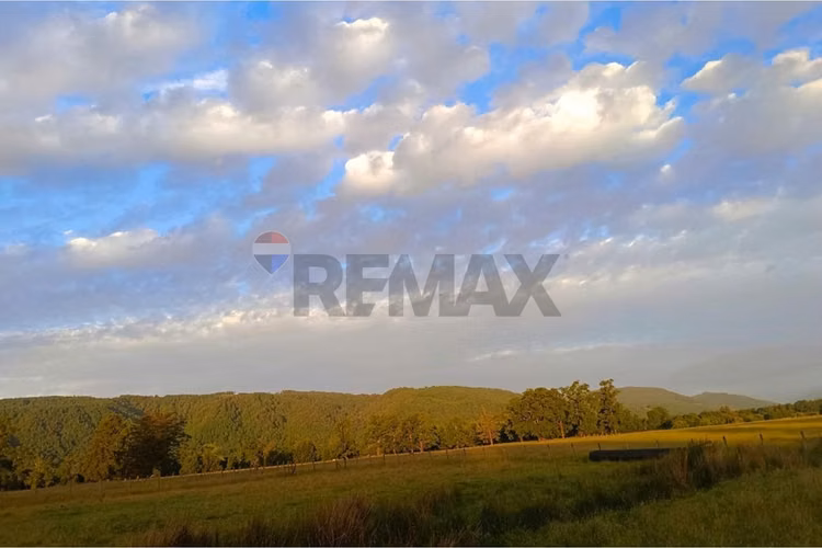 Parcela en venta villarrica - sector chucauco - Imagen 8