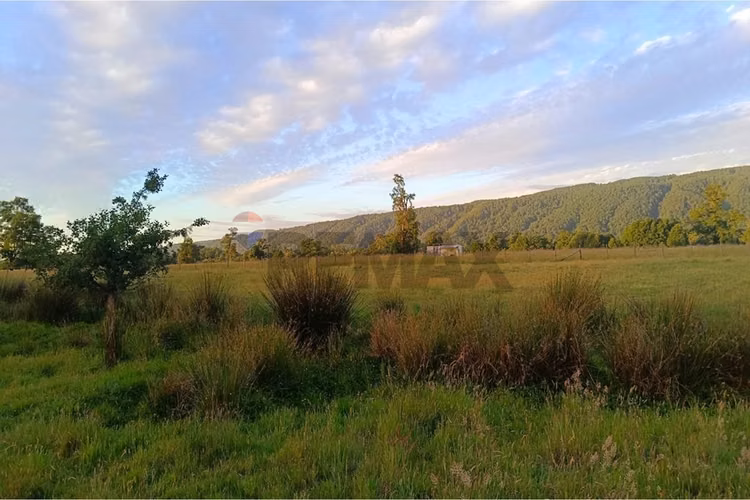 Parcela en venta villarrica - sector chucauco - Imagen 15