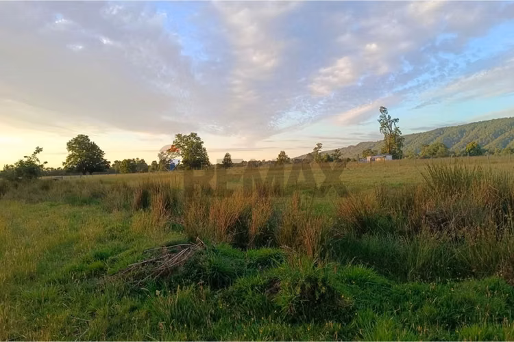 Parcela en venta villarrica - sector chucauco - Imagen 11