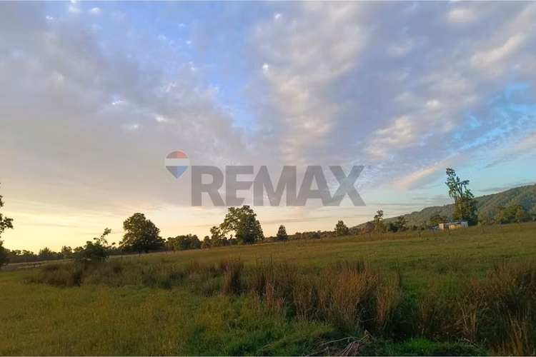 Parcela en venta villarrica - sector chucauco - Imagen 10