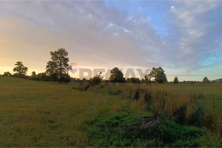 Parcela en venta villarrica - sector chucauco - Imagen 20