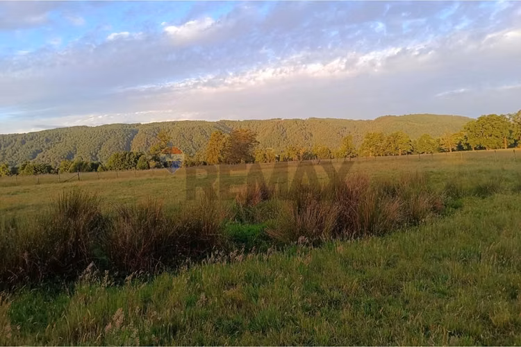 Parcela en venta villarrica - sector chucauco - Imagen 4