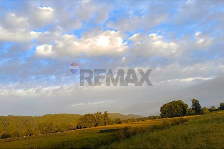 Parcela en venta villarrica - sector chucauco - Imagen 12