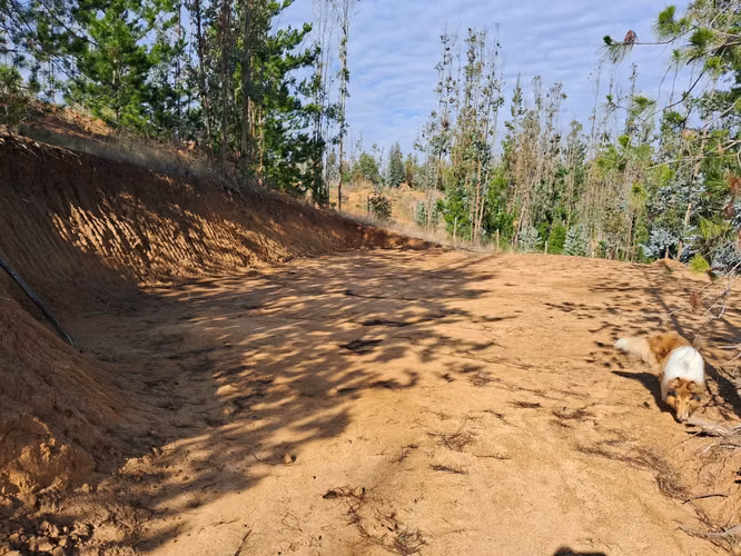 PARCELA 5000 MTS LISTA PARA CONSTRUIR EN VIVE BUCALEMU