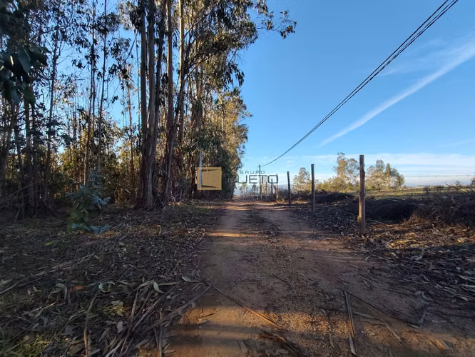 Sitio en venta de 5000m2 ubicado en Tunquén - El Yeco