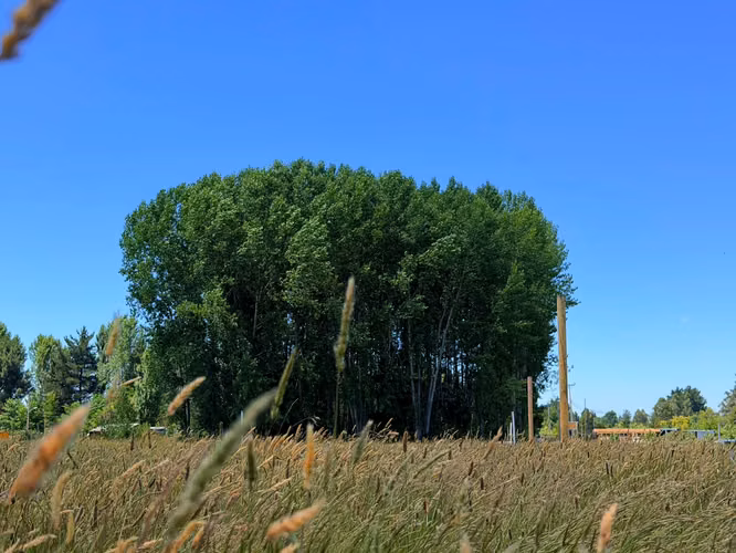 VENTA DE LOTES EN SANTA JUANA