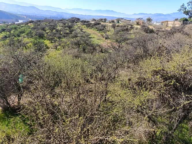 Terreno en Limache, cercano al peaje los Laureles. - Imagen 12
