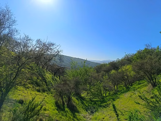 Terreno en Limache, cercano al peaje los Laureles. - Imagen 6