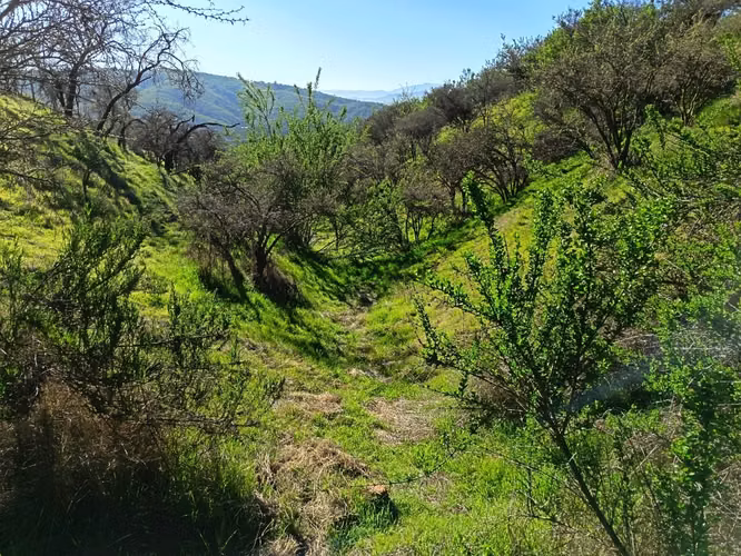 Terreno en Limache, cercano al peaje los Laureles. - Imagen 11