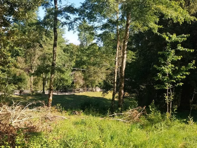 PRECIOSA PARCELA EN CARHUELLO CON ACCESO A RIO LICURA - Imagen 16