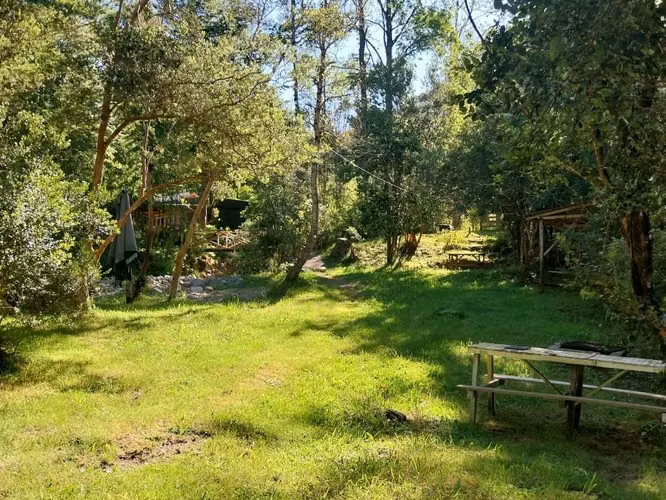 PRECIOSA PARCELA EN CARHUELLO CON ACCESO A RIO LICURA - Imagen 19