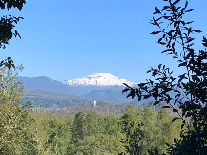PRECIOSA PARCELA EN CARHUELLO CON ACCESO A RIO LICURA