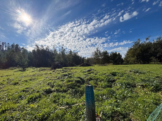 VENTA HERMOSOS SITIOS A 10 MIN DE CONCEPCIÓN