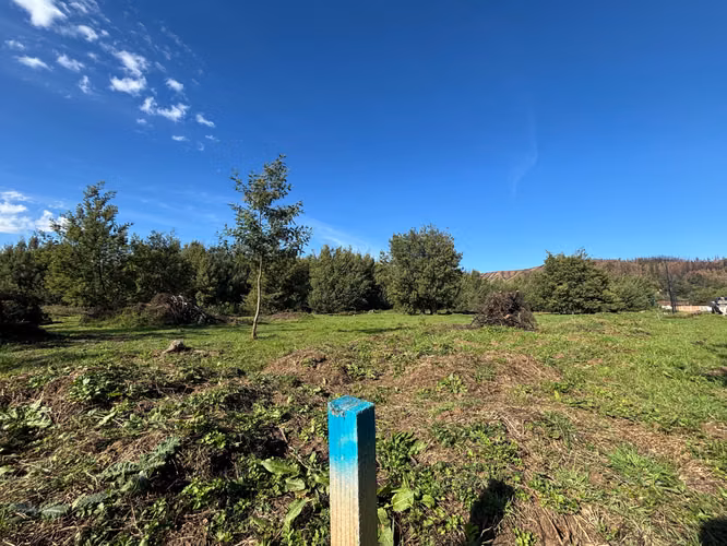 VENTA HERMOSOS SITIOS A 10 MIN DE CONCEPCIÓN