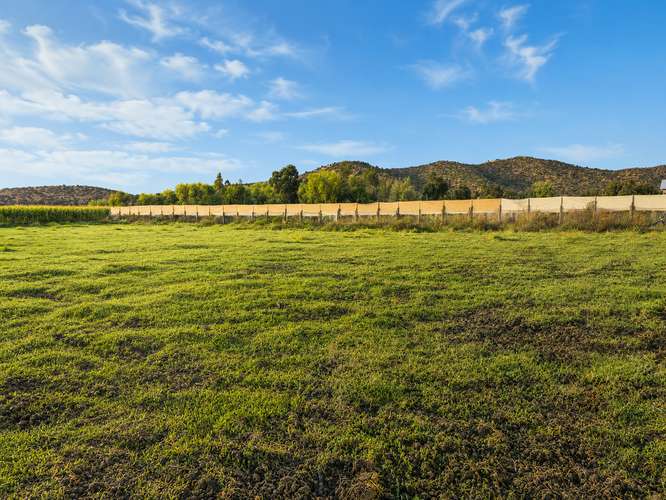 PARCELA 5000 M2 EN PALMILLA FACTIBILIDAD DE LUZ Y AGUA