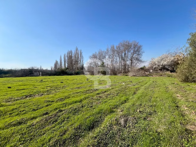 Sitio Cond. Santa Luisa de Los Ingleses  | Chicureo Centro - Imagen 2