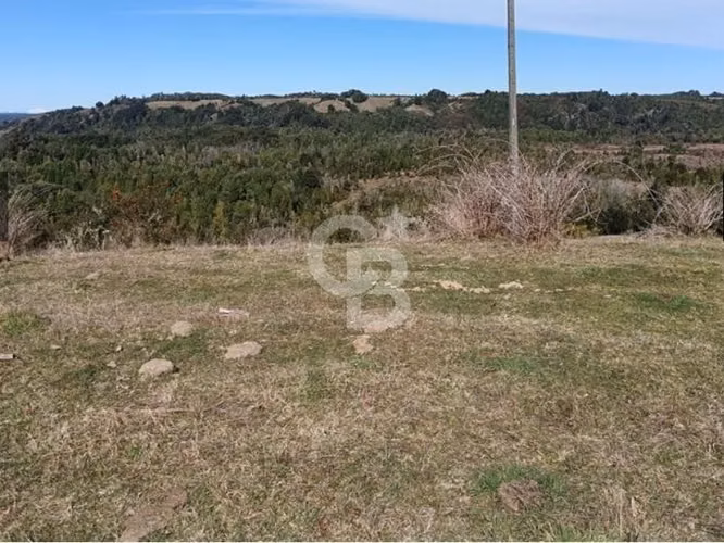 Hectárea en Quemchi, Chiloé: Ubicación y Servicios Ideales