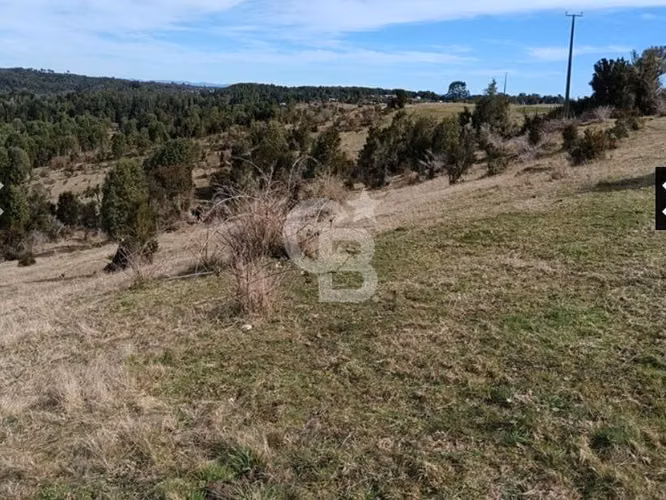 Hectárea en Quemchi, Chiloé: Ubicación y Servicios Ideales