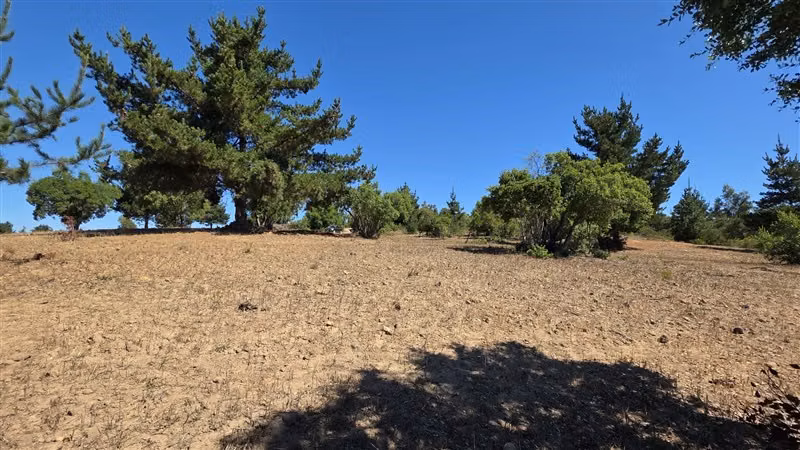 Terreno 10 hectareas, Camino Tunquén, con caminos, agua