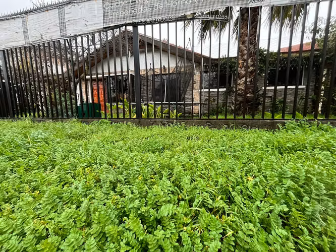 CASA A LA VENTA PEDRO LAGOS CERCA DE CLINICA LOS ANDES Y CENTRO DE LOS ANGELES - Imagen 2