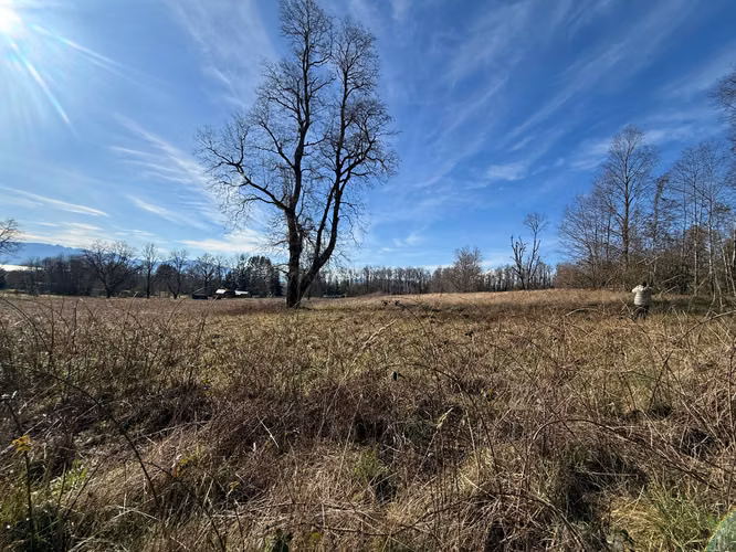 Venta Terreno Santuario de Villarrica - Imagen 2