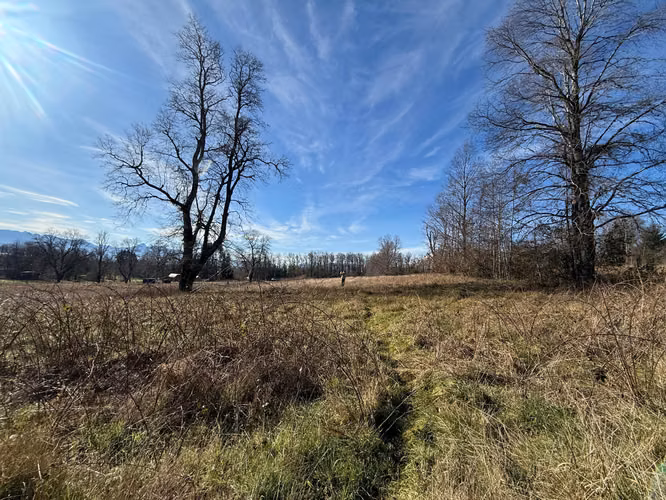 Venta Terreno Santuario de Villarrica - Imagen 7