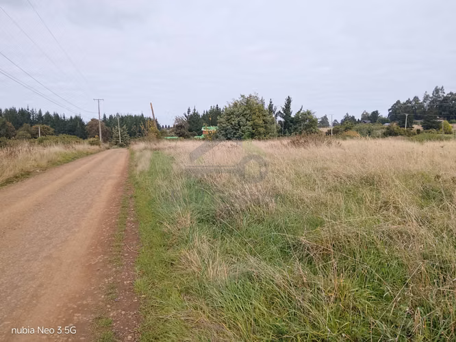 VENTA -  Construye tu Sueño: 5.000m²