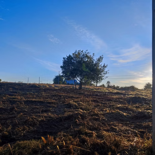 VENTA -  Construye tu Sueño: 5.000m²