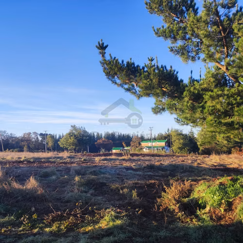 VENTA -  Construye tu Sueño: 5.000m² - Imagen 5
