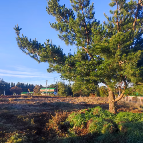 VENTA -  Construye tu Sueño: 5.000m²