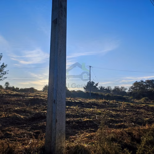 VENTA -  Construye tu Sueño: 5.000m² - Imagen 2