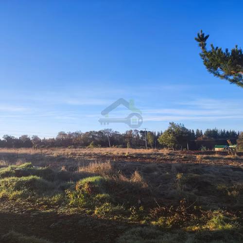 VENTA -  Construye tu Sueño: 5.000m²