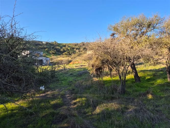 Venta Parcela Terra Casablanca