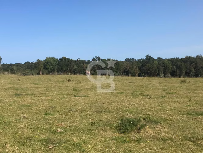 Campo en Chiloé: Ideal Proyecto Condominio, Sin Comisión