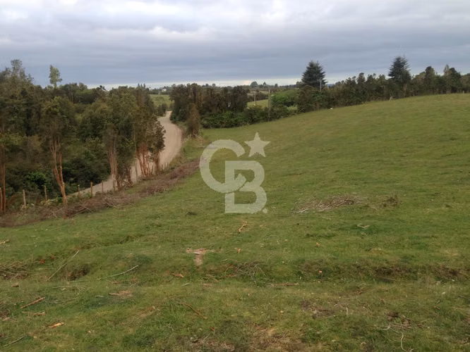 Campo en Chiloé: Ideal Proyecto Condominio, Sin Comisión