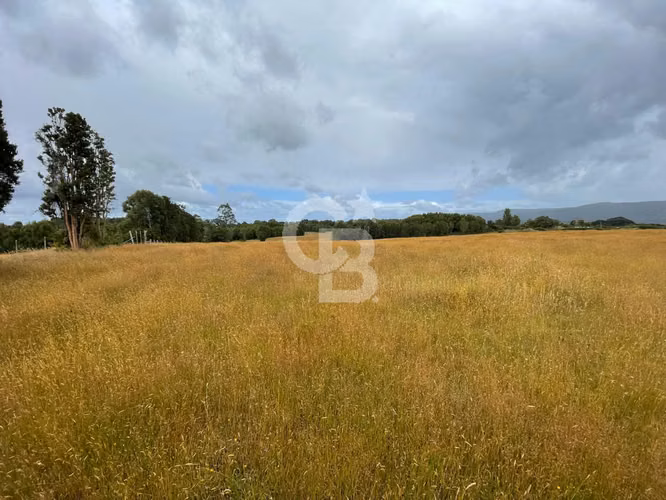 Campo en Chiloé: Ideal Proyecto Condominio, Sin Comisión