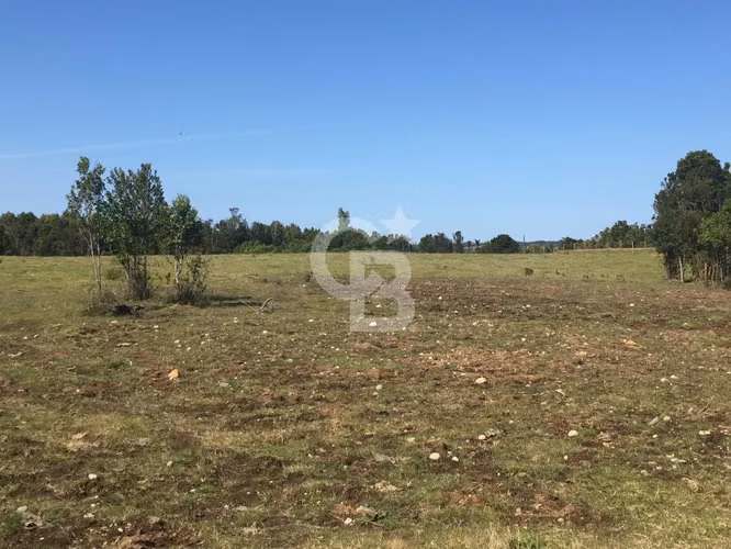 Campo en Chiloé: Ideal Proyecto Condominio, Sin Comisión