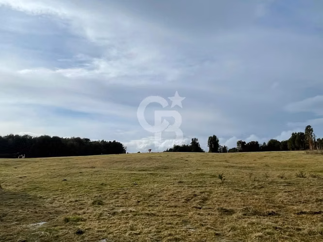 Campo en Chiloé: Ideal Proyecto Condominio, Sin Comisión