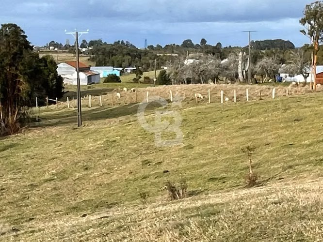 Campo en Chiloé: Ideal Proyecto Condominio, Sin Comisión