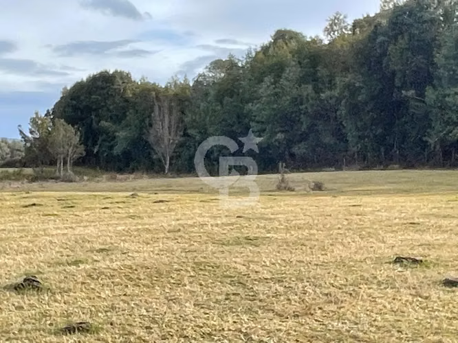 Campo en Chiloé: Ideal Proyecto Condominio, Sin Comisión