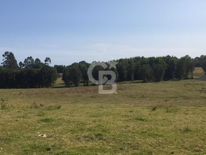 Campo en Chiloé: Ideal Proyecto Condominio, Sin Comisión